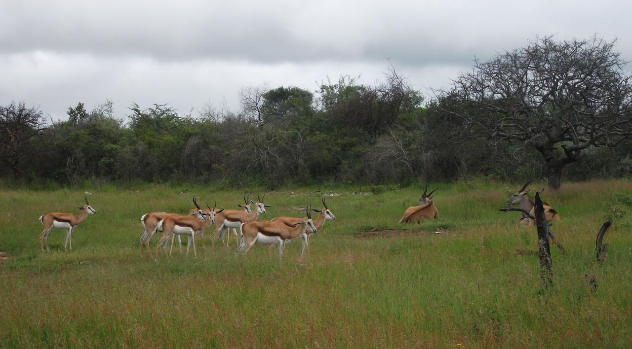 Pondoki Rest Camp Grootfontein Экстерьер фото